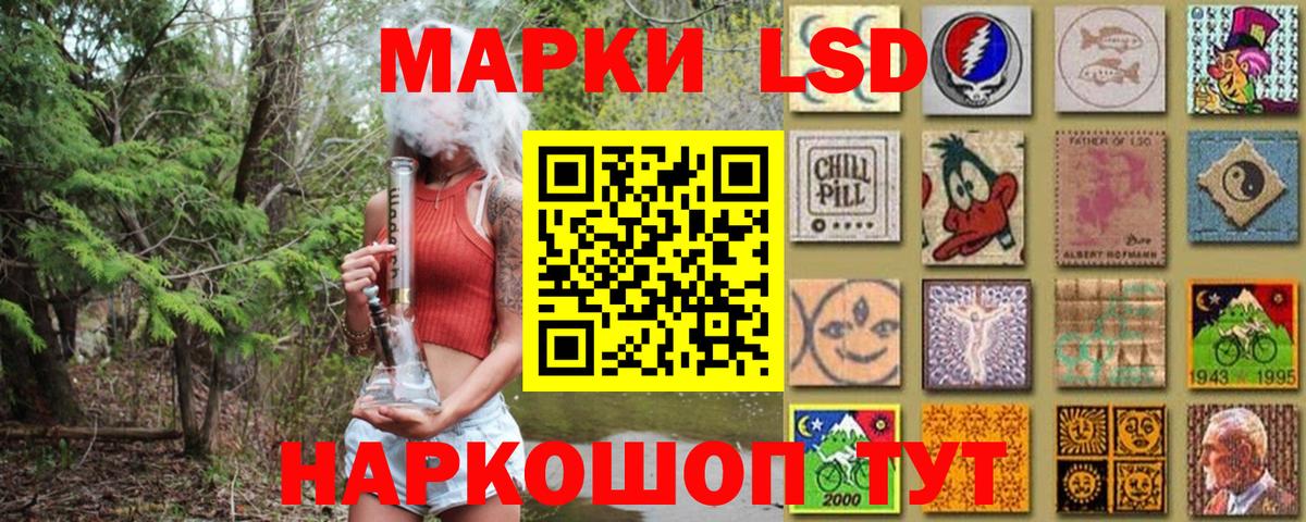 где купить наркоту  Наркотические марки 1,5мг  Наркотические марки 1,5мг  Вход с VPN  Тосно 