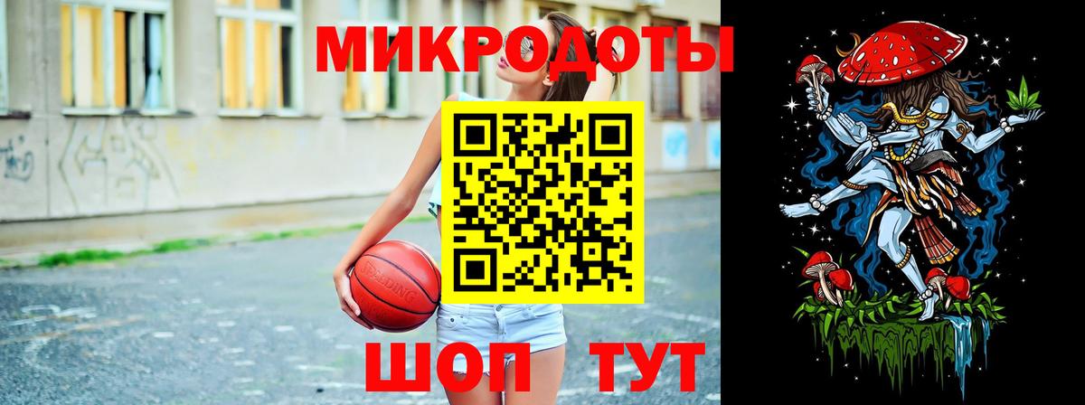 Тосно  Псилоцибиновые грибы Psilocybine cubensis  Вход с VPN 