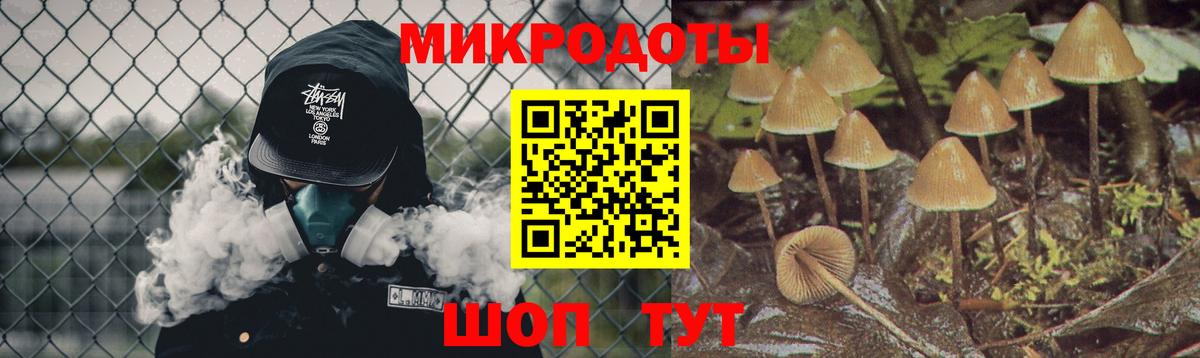 Псилоцибиновые грибы Cubensis Тосно